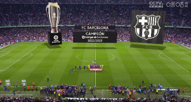 尼日利亚主帅声明：民主刚果人员进入我的技术区域引发冲突（尼日利亚主帅称：刚果（金）人员闯入我方技术区致冲突）